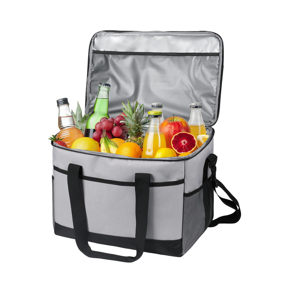 Picnic Lunch Bag2 Picnic Lunch Bag2